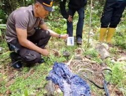 Warga Darul Kamal Temukan Tengkorak dan Kerangka Manusia