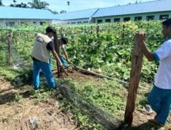 SMKN Sultan Daulat Budidayakan Labu Madu Super