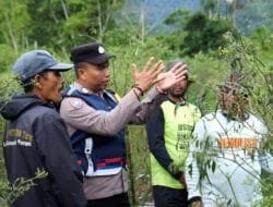 Polisi di Aceh yang Mengubah Lahan Ganja Jadi Lahan Palawija