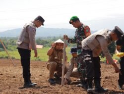 Pj Bupati Bersama Kapolda Aceh Tanam Jagung Serentak Nasional di Seulimeum