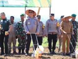 Kapolda Aceh bersama Forkopimda Tanam Jagung Serentak