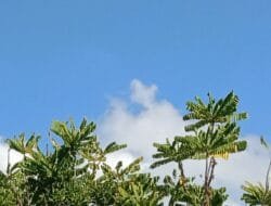 Awali Tahun 2025 dengan Langkah Produktif
