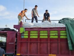 Modus Baru Penyelundupan Rokok Ilegal