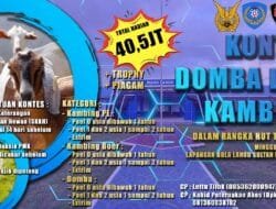 Ayo Ikut Kontes Ternak Kambing di Aceh Besar, Total Hadiah Rp 40 Juta!