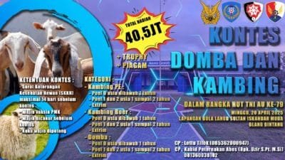 Ayo Ikut Kontes Ternak Kambing di Aceh Besar, Total Hadiah Rp 40 Juta!