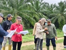Diduga Serobot Lahan Warga, PT Makmur Inti Sawita Digugat ke Pengadilan