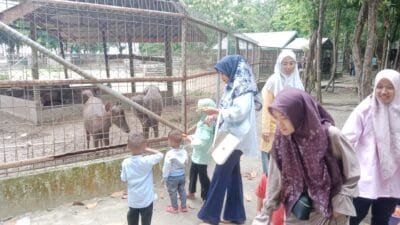 Taman Hutan Kota Langsa, Destinasi Wisata untuk Pecinta Alam dan Satwa