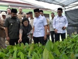 Wagub Fadhlullah Resmikan Pusat Pelatihan Budidaya Bibit Kakao Unggul di Aceh Timur