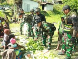 Satgas Yonif 112/DJ Borong Hasil Bumi Masyarakat Papua di Puncak Jaya