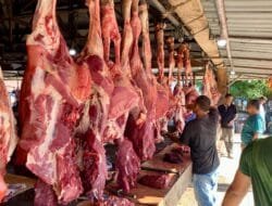 Harga Daging di Pasar Induk Lambaro Masih Stabil Jelang Idul Adha