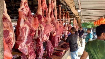 Harga Daging di Pasar Induk Lambaro Masih Stabil Jelang Idul Adha