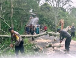 Angin Kencang di Bener Meriah: Belasan Rumah Rusak, Tiang Listrik Tumbang