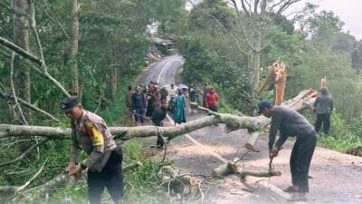 Angin Kencang di Bener Meriah: Belasan Rumah Rusak, Tiang Listrik Tumbang