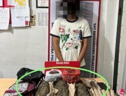 Polisi Menerima Informasi, Pengedar Ganja Ditangkap di Pinggir Jalan Kota Banda Aceh