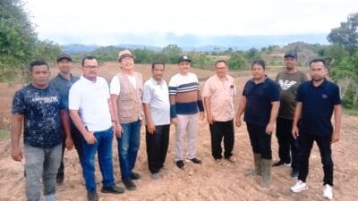 Pemkab Aceh Besar Siapkan 200 Hektare Lahan Jagung Dukung Visi Misi Bupati