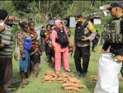 Satgas Yonif 112/DJ Kembali Borong Hasil Bumi di Puncak Jaya