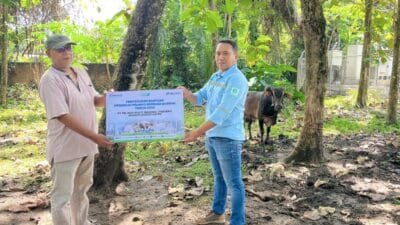 Tahun Ini, Pelindo Salurkan Dua Hewan Kurban di Lhokseumawe