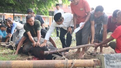 Polresta Banda Aceh Sembelih Delapan Hewan Kurban