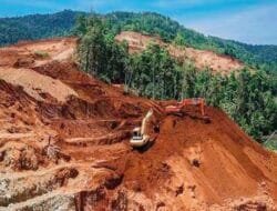 Pemerintah Cabut Izin Empat Perusahaan Tambang di Raja Ampat