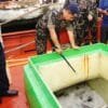 Kementerian Kelautan Selesaikan Penyidikan Enam Kasus Kapal Ikan Asing Ilegal