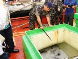 Kementerian Kelautan Selesaikan Penyidikan Enam Kasus Kapal Ikan Asing Ilegal