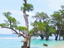 Lhok Mee, Pantai yang Indah dengan Suasana Menenteramkan!