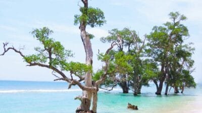 Lhok Mee, Pantai yang Indah dengan Suasana Menenteramkan!