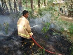 Hutan Lindung Sare Terbakar, BPBD Aceh Besar Gerak Cepat Padamkan Api