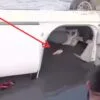 Nekat Curi Kambing di Pinggir Jalan: Tiga Pelaku Dikejar Warga, Satu Bernasib Tragis