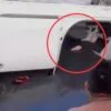 Polisi Ungkap Fakta Mengejutkan Terkait Pencuri Kambing di Aceh Utara