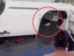 Polisi Ungkap Fakta Mengejutkan Terkait Pencuri Kambing di Aceh Utara