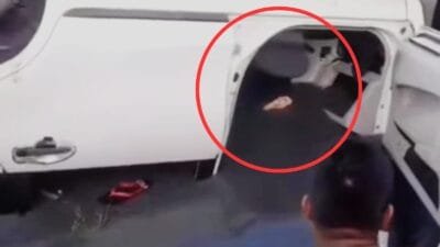 Polisi Ungkap Fakta Mengejutkan Terkait Pencuri Kambing di Aceh Utara
