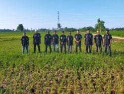 Ratusan Hektare Sawah Tadah Hujan di Aceh Timur Mengalami Kekeringan dan Terancam Gagal Panen