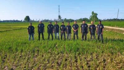 Ratusan Hektare Sawah Tadah Hujan di Aceh Timur Mengalami Kekeringan dan Terancam Gagal Panen