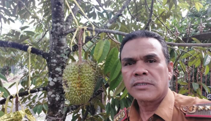 Lhoong Bak Putri Menanti Lamaran