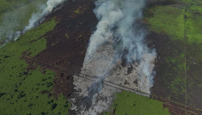 HAkA Temukan 72 Ha Hutan Aceh Selatan Terbakar di Kawasan PT ALIS