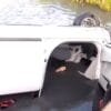 Mobil Putih Pencuri Kambing Terjun ke Tambak, Sopir Tewas di Tempat