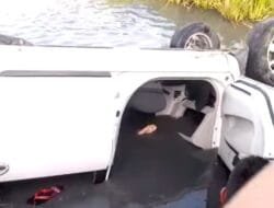 Mobil Putih Pencuri Kambing Terjun ke Tambak, Sopir Tewas di Tempat