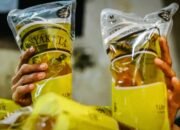 BPS Ungkap Fakta Mengejutkan Harga Minyakita yang Dijual di Atas HET