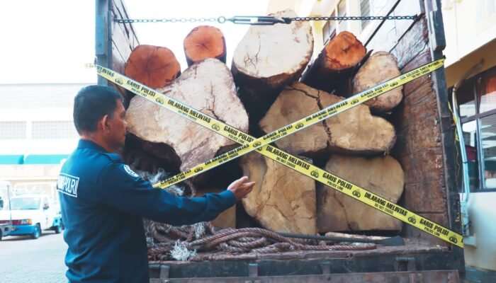 Mantan Kasatreskrim Polres Aceh Besar Bongkar Praktik Ilegal Logging di Kawasan Blang Bintang