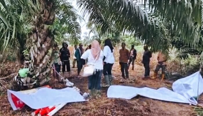 HGU PT Ambya Putra Terus Diserobot, Pemerintah Daerah Dinilai Tutup Mata