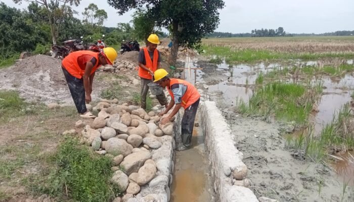 Masuk Musim Hujan, Kodam IM Kebut Pembangunan Irigasi Tersier di Aceh Utara