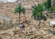 Bareskrim Periksa 17 Saksi Terkait Kasus Kayu Gelondongan dalam Bencana Sumatera