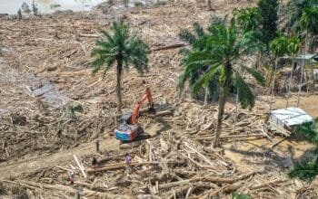 Bareskrim Periksa 17 Saksi Terkait Kasus Kayu Gelondongan dalam Bencana Sumatera