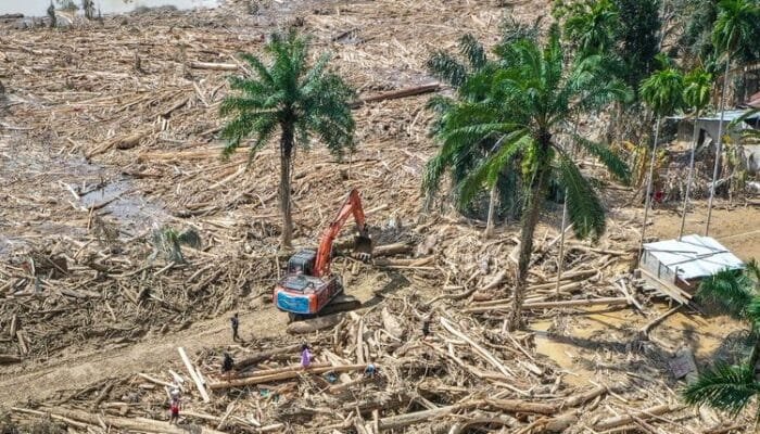 Bareskrim Periksa 17 Saksi Terkait Kasus Kayu Gelondongan dalam Bencana Sumatera