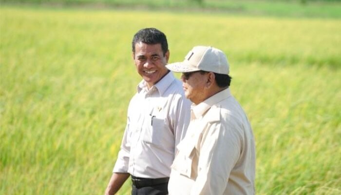 Menteri Pertanian: Produksi Beras Meningkat 4,17 Juta Ton