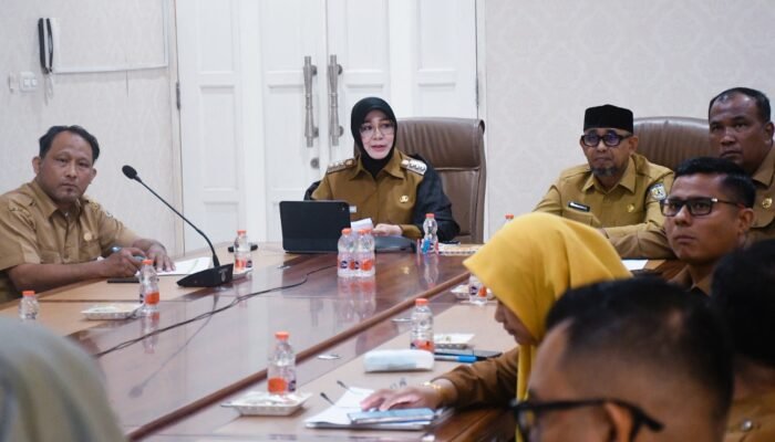 Bunda Illiza Harap Program Sister City Menjadi Instrumen Strategis