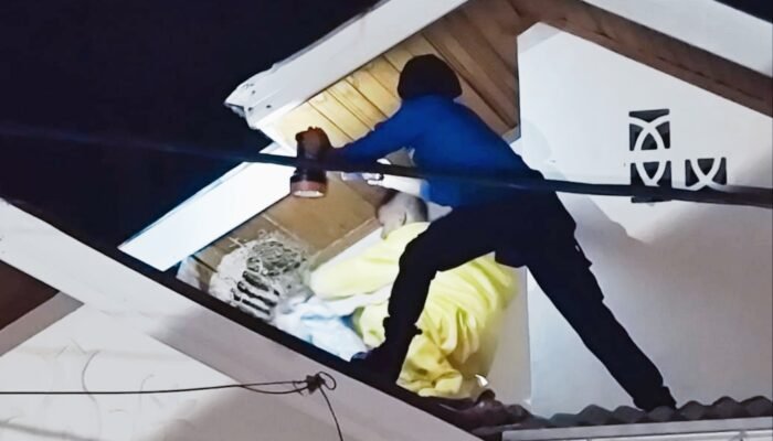 Personel Damkar Peukan Bada Berhasil Evakuasi Sarang Tawon yang Ancam Warga Leu Ue