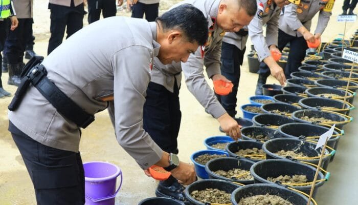 Kapolda Aceh Kenalkan Inovasi Sawah Portabel, Lumpur Pascabanjir Disulap Jadi Media Tanam Padi