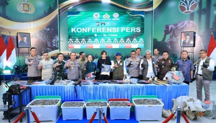 Polisi Ungkap Rantai Perdagangan Gading Gajah